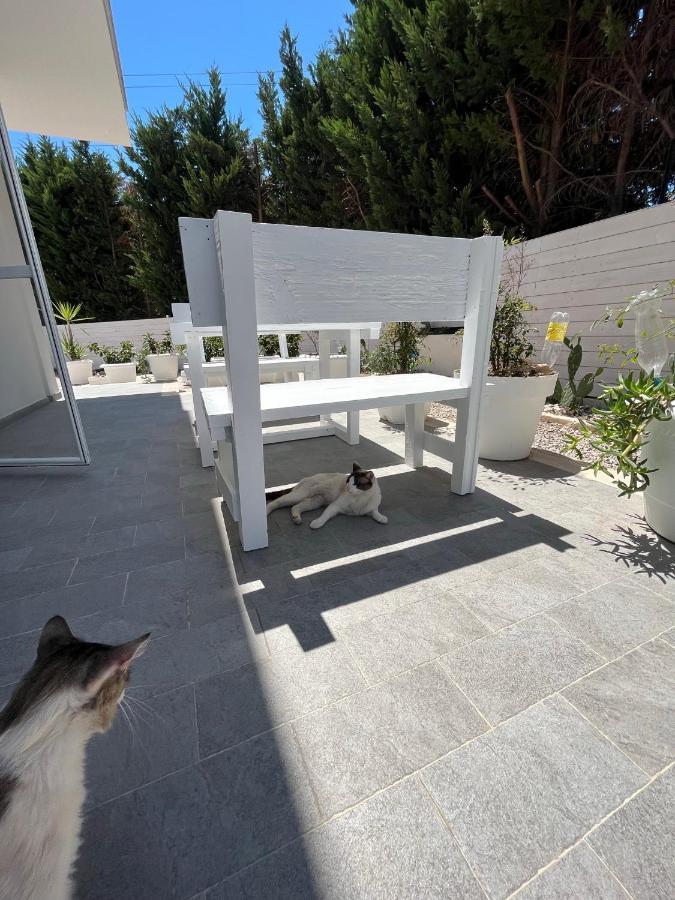 La Casa Di Nina Bed and Breakfast Lecce Buitenkant foto