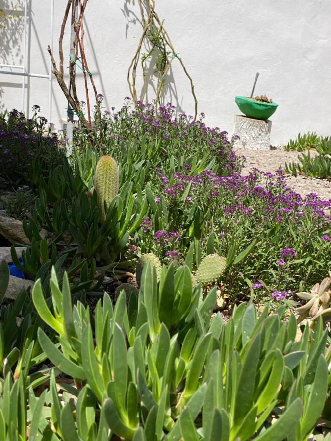 La Casa Di Nina Bed and Breakfast Lecce Buitenkant foto