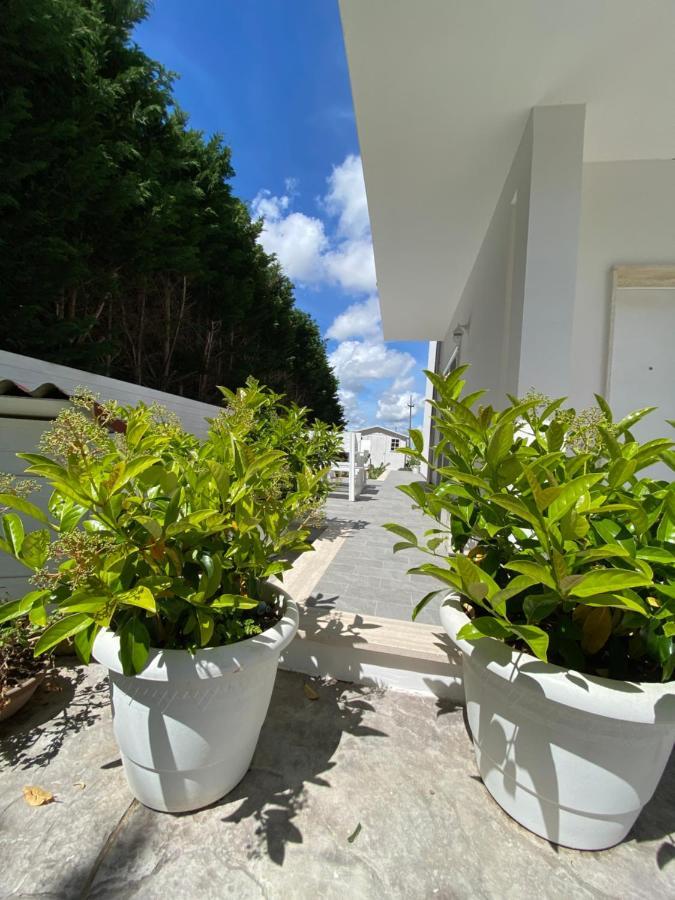 La Casa Di Nina Bed and Breakfast Lecce Buitenkant foto